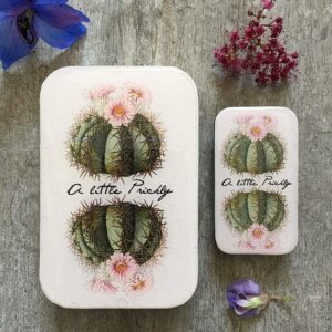 Cajita Cactus Firefly Notes