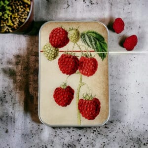 Cajita grande Raspberry Firefly Notes